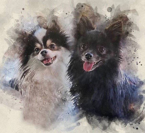 Dog Cat Watercolor Portrait from photo